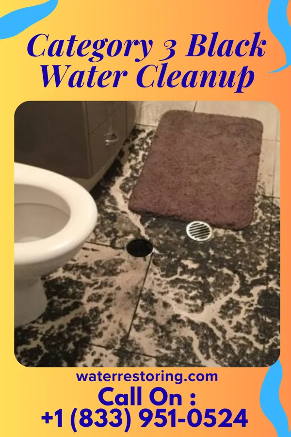 Category 3 Black Water Cleanup in Hamler, OH