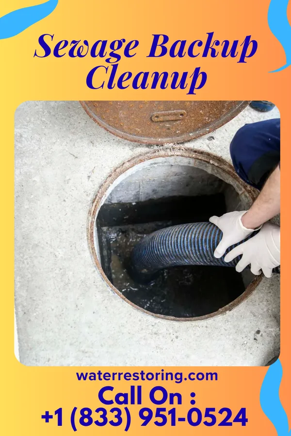 Sewage Backup Cleanup in Hamler, OH