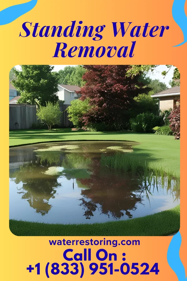 Standing Water Removal in Hamler, OH